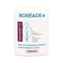 Boréade R stick reparador 11ml